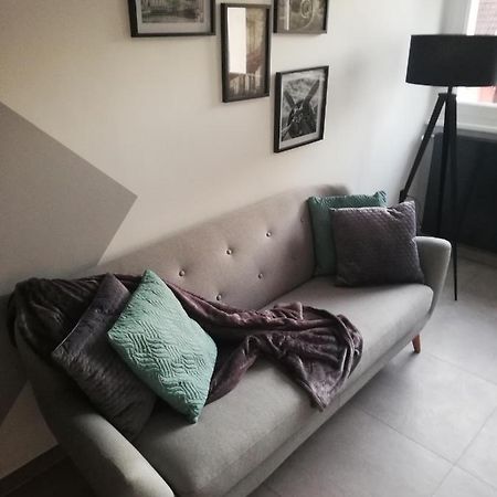 شقة La Casa D'Ernestine كولمار المظهر الخارجي الصورة
