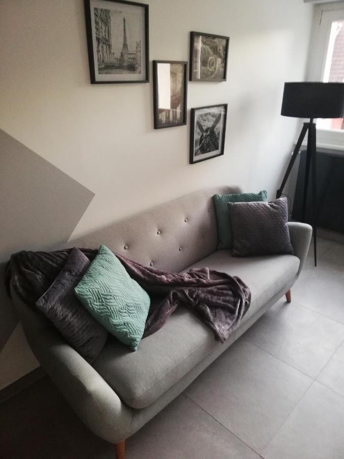 شقة La Casa D'Ernestine كولمار المظهر الخارجي الصورة